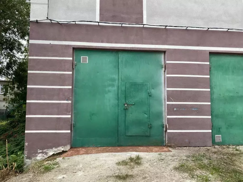 Гараж в Пензенская область, Пенза ул. Суворова, 180В (24 м) - Фото 1