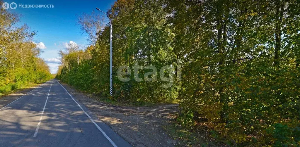Участок в Тульская область, Кимовск (2750 м) - Фото 2