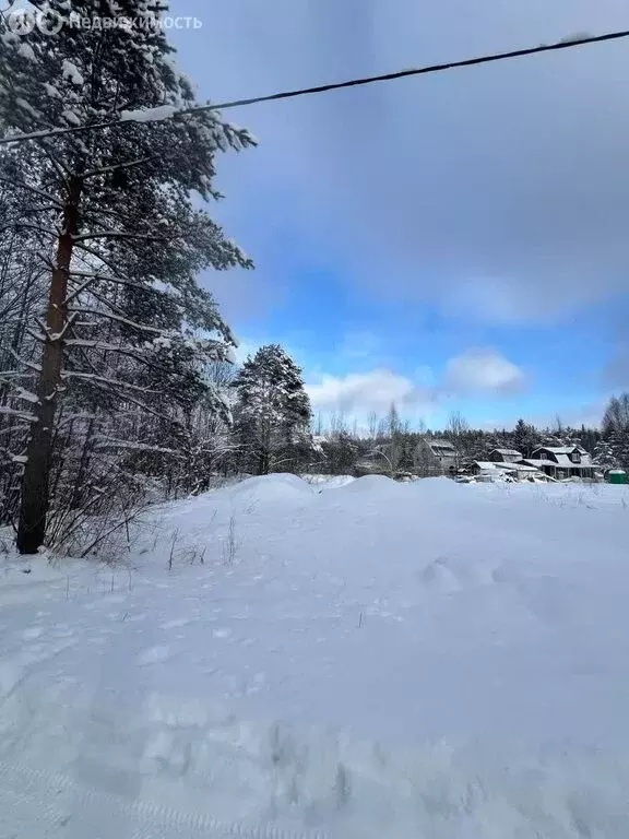 Участок в Рахьинское городское поселение, садоводческий массив Рахья, ... - Фото 0