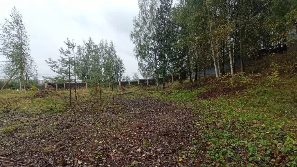 Участок в Ленинградская область, Всеволожский район, Бугровское ... - Фото 1