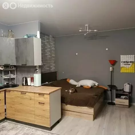 Квартира-студия: Новый Уренгой, проспект Губкина, 28 (30 м) - Фото 2