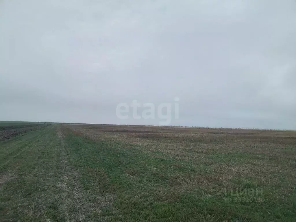 Участок в Крым, Ленинский район, Семисотское с/пос, с. Каменское ул. ... - Фото 1