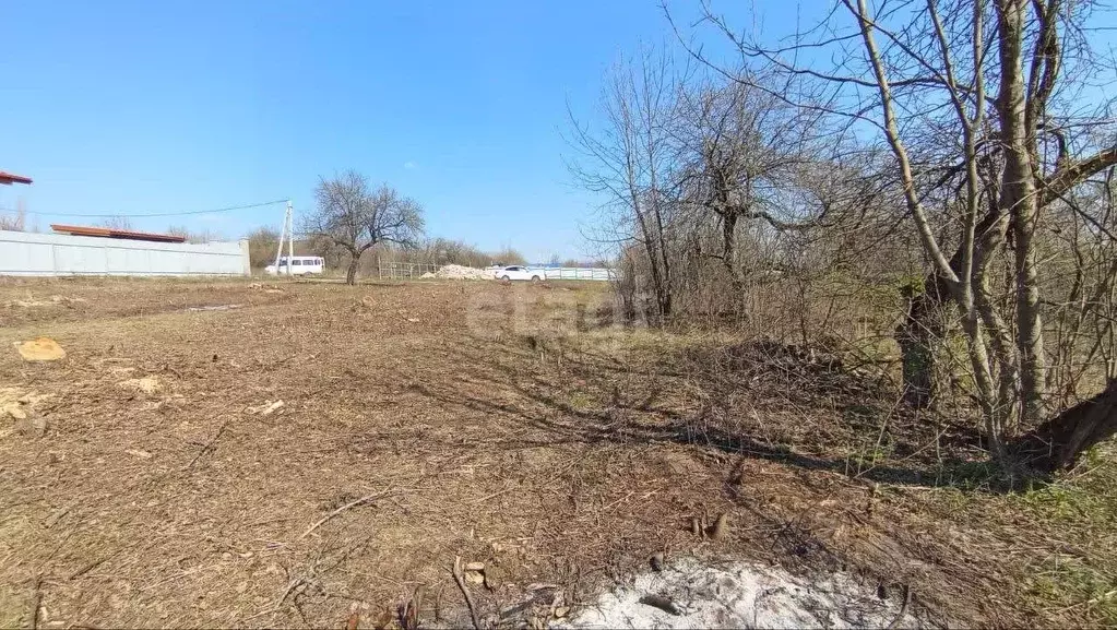 Участок в Воронежская область, с. Семилуки ул. Лазурная (10.0 сот.) - Фото 1