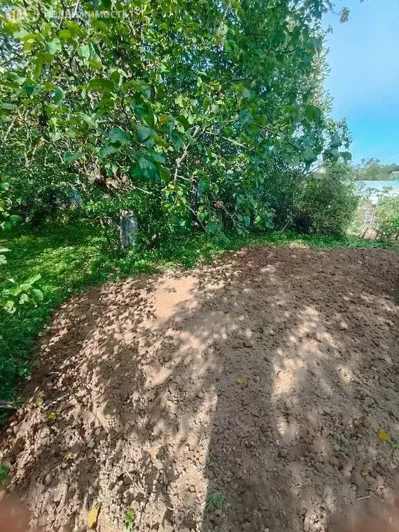 Участок в Смоленск, СТ Восток (5.4 м) - Фото 2