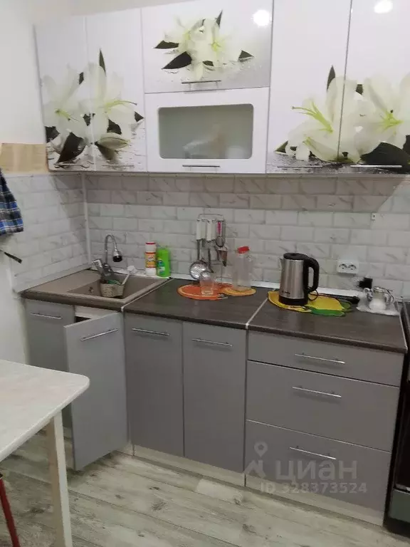 1-к кв. Алтайский край, Барнаул ул. Новосибирская, 16Д (36.5 м) - Фото 2