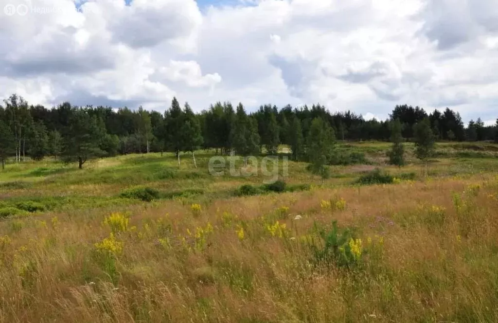 Участок в Воронежская область, село Семилуки (89.4 м) - Фото 1