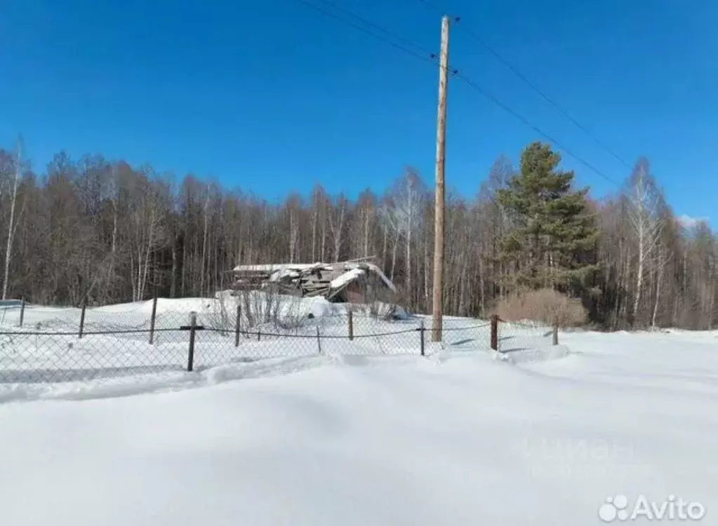 Участок в Нижегородская область, Бор городской округ, д. Лихачево 59 ... - Фото 1