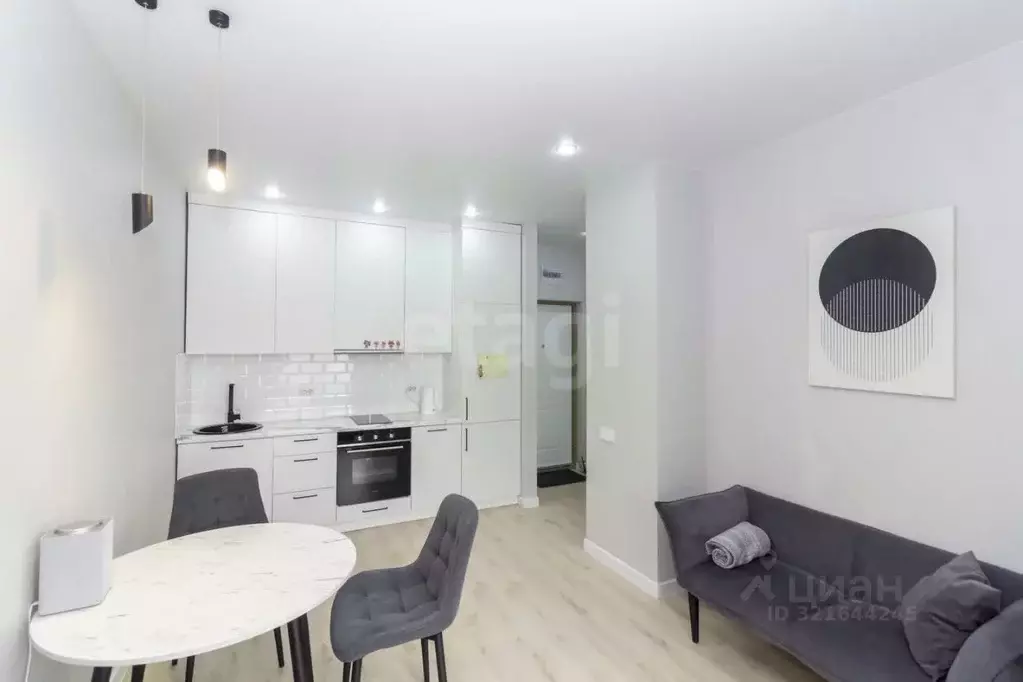 Студия Тюменская область, Тюмень ул. Фармана Салманова, 3 (26.7 м) - Фото 1