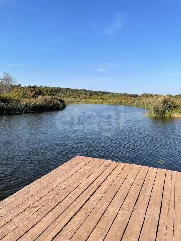 Дом в Костромская область, Красносельский район, Шолоховское с/пос, д. ... - Фото 1