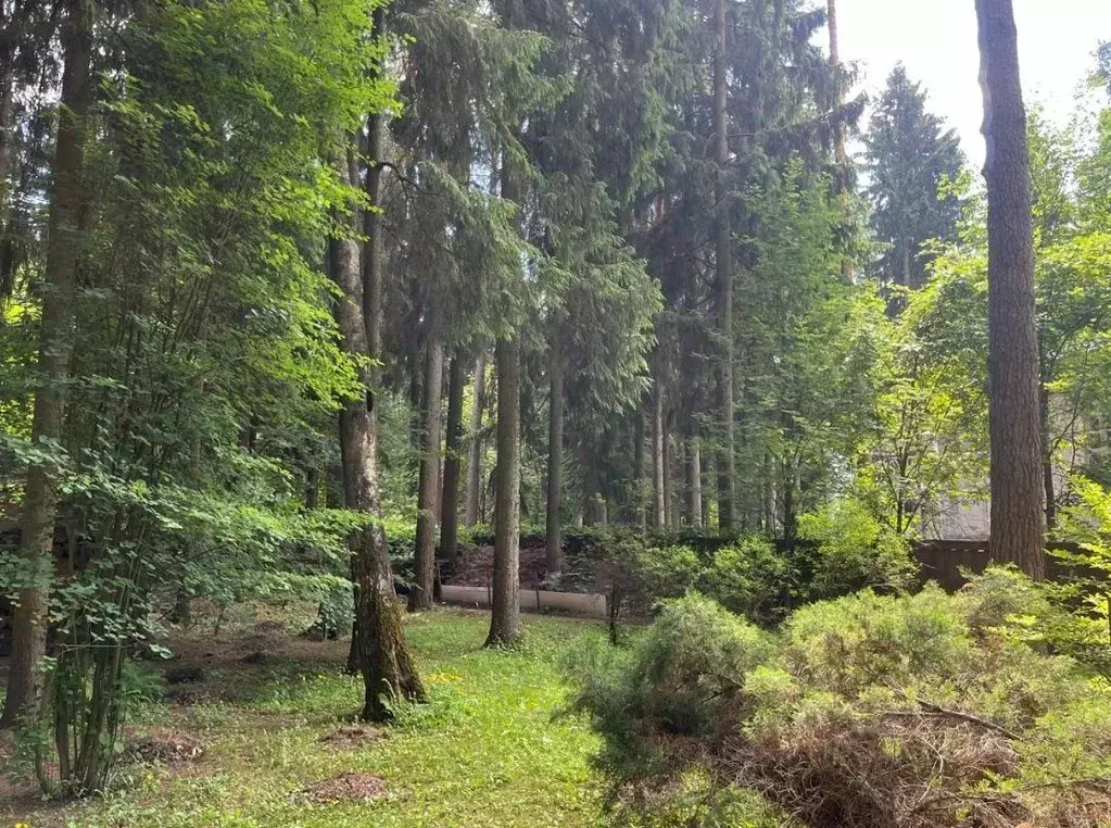 Участок в Московская область, Одинцовский городской округ, с. Юдино, ... - Фото 2