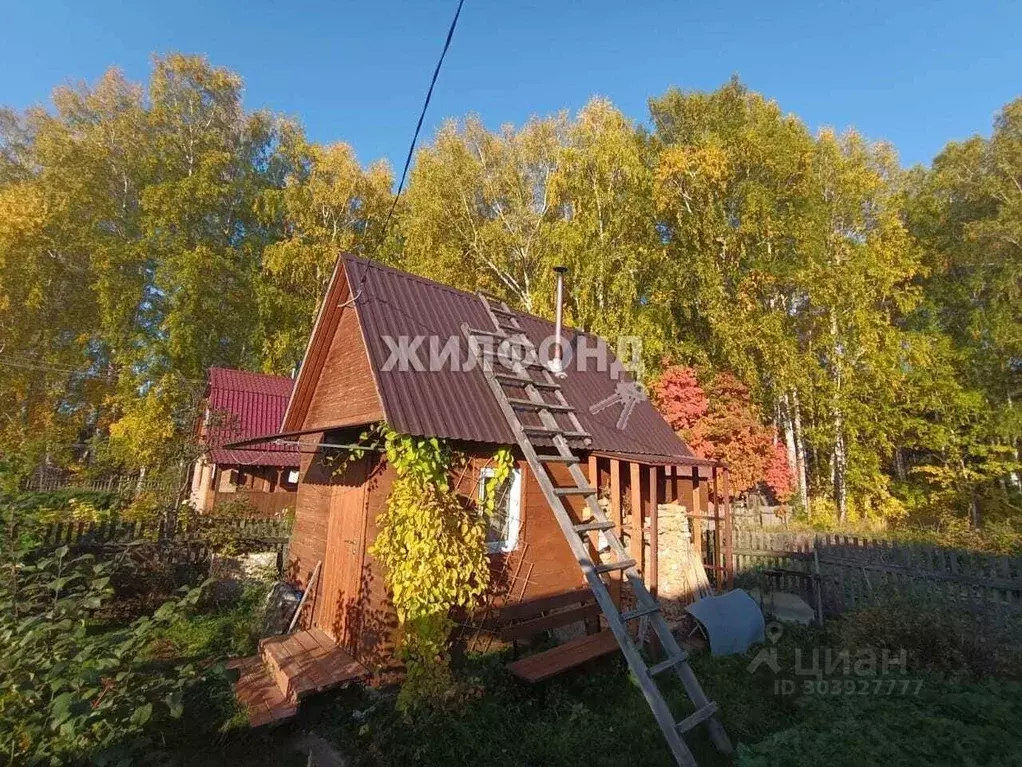 Дом в Новосибирская область, Новосибирск  (50 м) - Фото 0