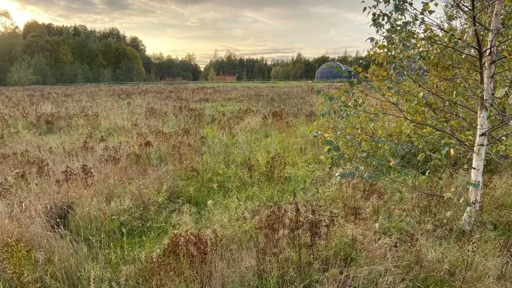 Участок в Ленинградская область, Приозерский район, Красноозерное ... - Фото 0