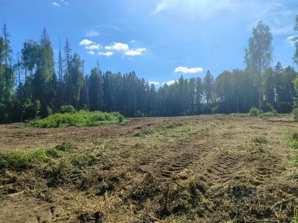 Участок в Московская область, Солнечногорск городской округ, Воробьево ... - Фото 0