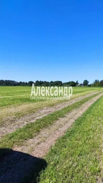 Участок в Ленинградская область, Приозерский район, Плодовское с/пос, ... - Фото 2