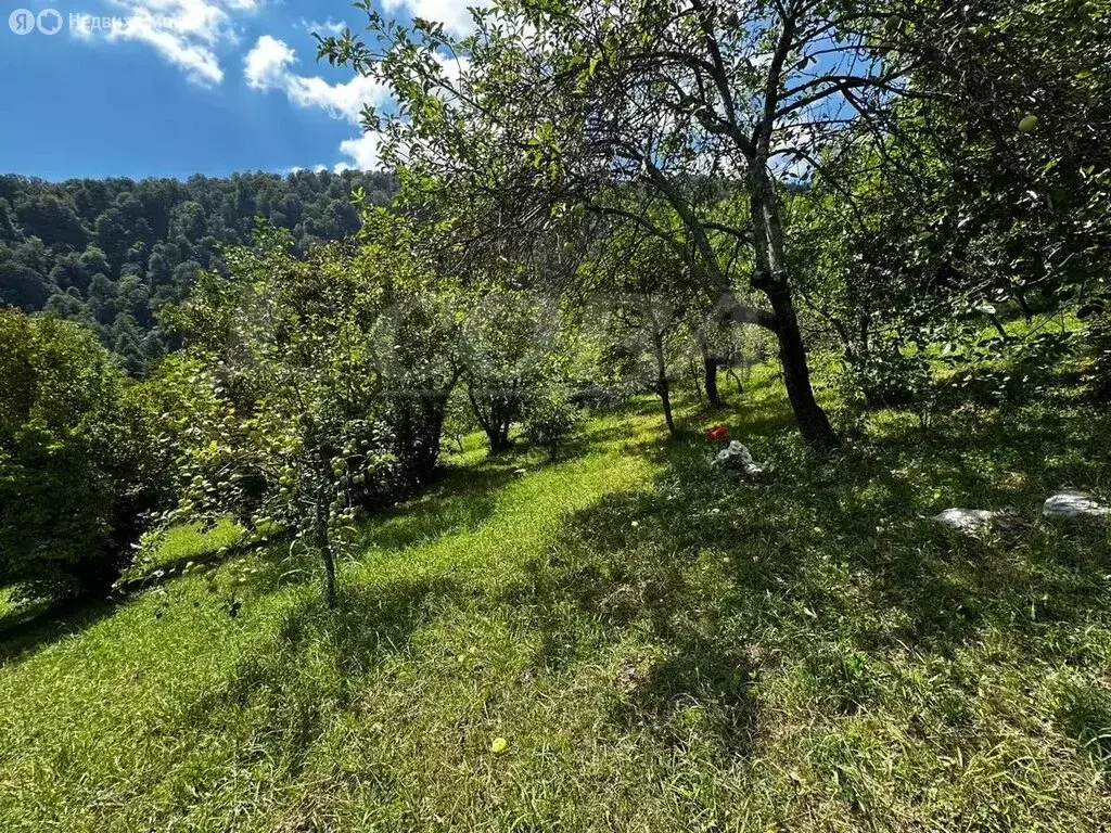 Дом в Казачий Брод, садоводческое товарищество Весна (50 м) - Фото 1