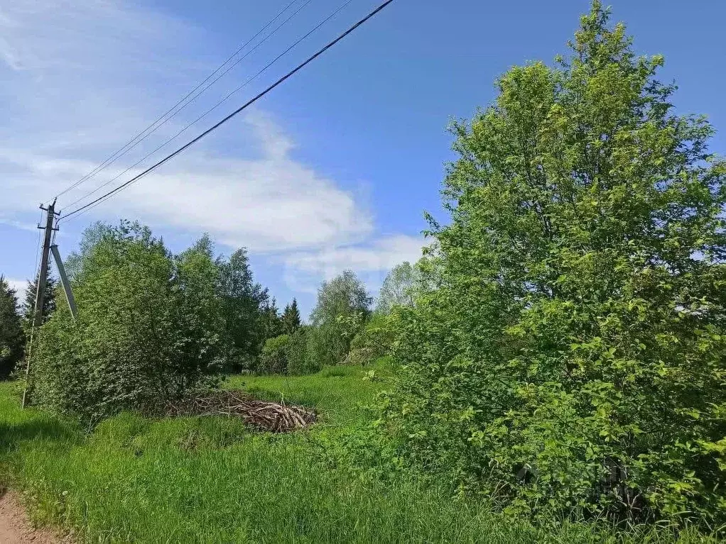 Участок в Ленинградская область, Волховский район, Потанинское с/пос, ... - Фото 2