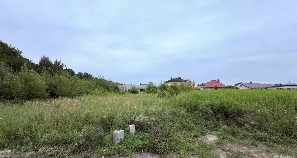 Участок в Калининградская область, Гурьевский муниципальный округ, ... - Фото 2