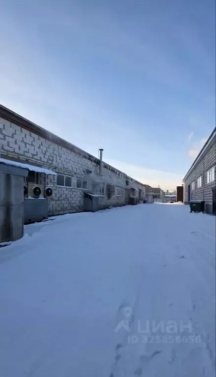 Производственное помещение в Ярославская область, Ярославль просп. ... - Фото 1