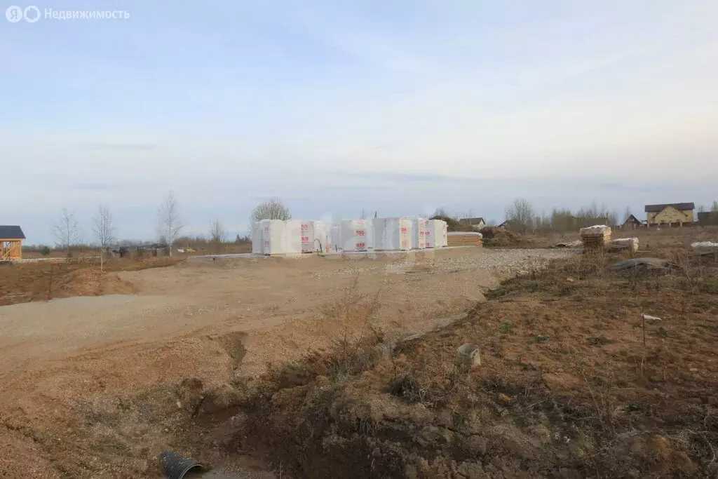 Участок в Вологодская область, рабочий посёлок Шексна (11.4 м) - Фото 2