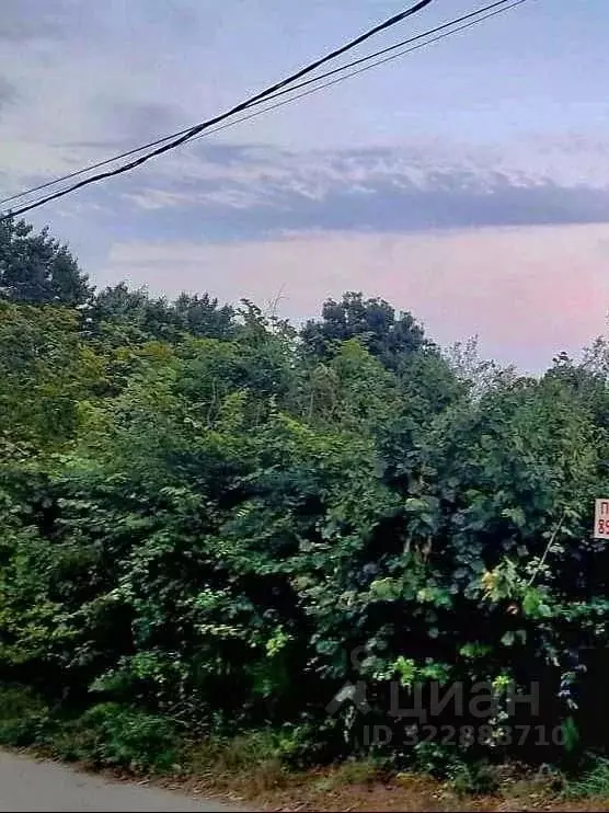 Участок в Краснодарский край, Сочи Малый Ахун мкр, ул. Светлая (5.0 ... - Фото 2