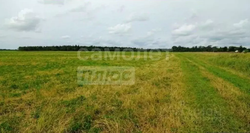 Участок в Крым, Симферопольский район, с. Мирное ул. Ароматная (6.0 ... - Фото 1