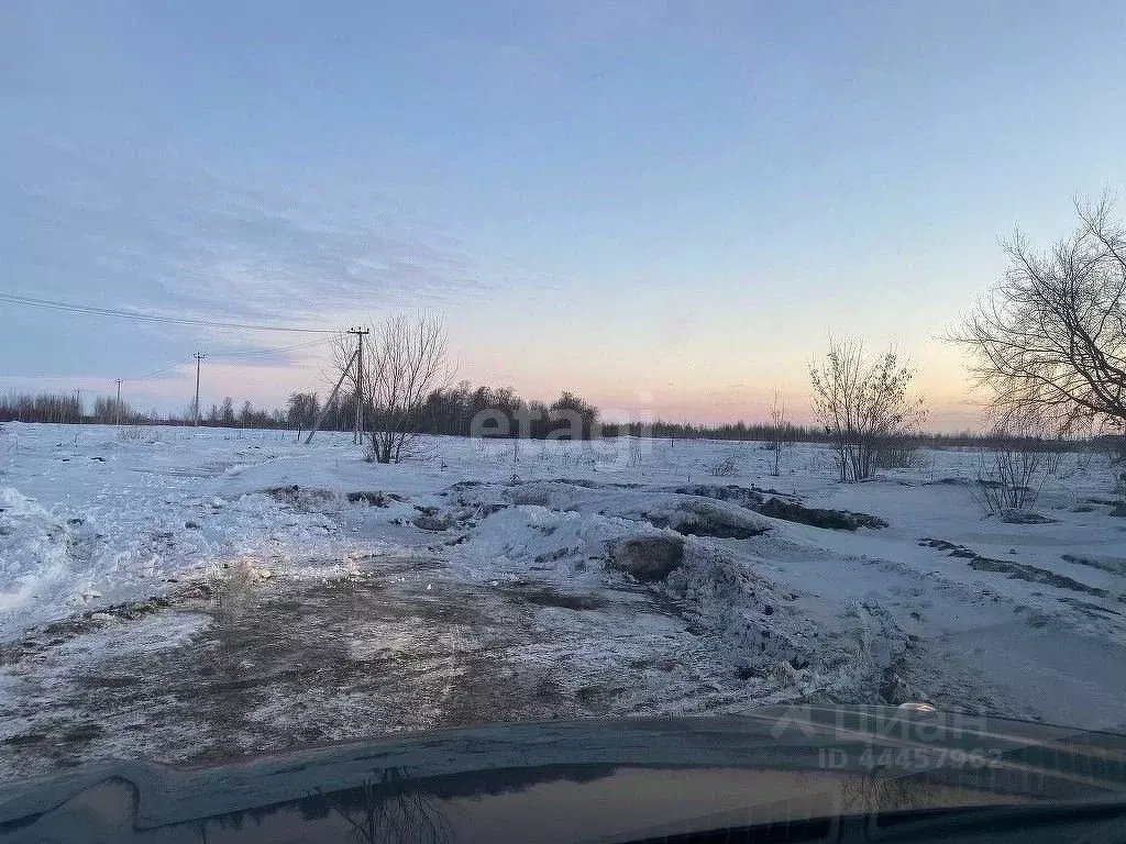 Участок в Челябинская область, Сосновский район, с. Большое Баландино .,  Купить земельный участок Большое Баландино, Сосновский район, ID объекта -  20005991664