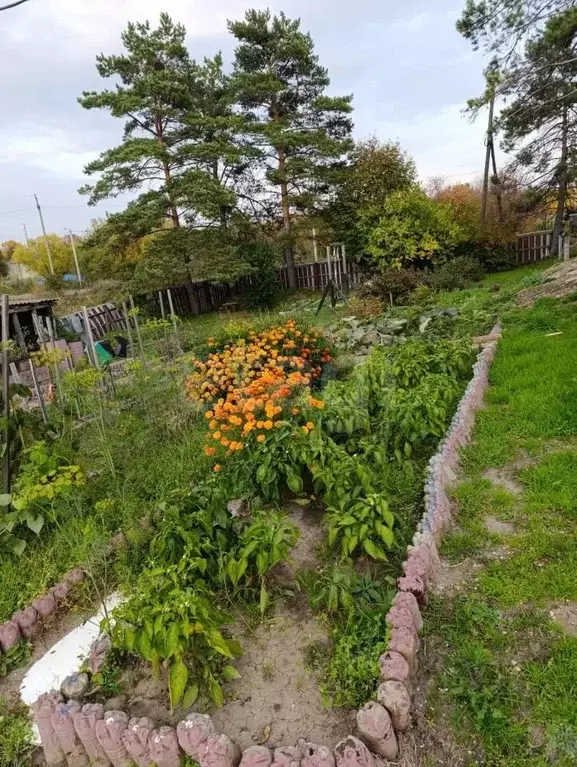 Дом в Амурская область, Ивановский муниципальный округ, с. Березовка  ... - Фото 2