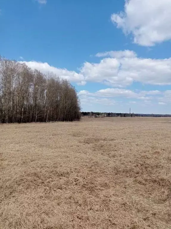 Участок в Томская область, Томский район, пос. Молодежный  (100.0 ... - Фото 1