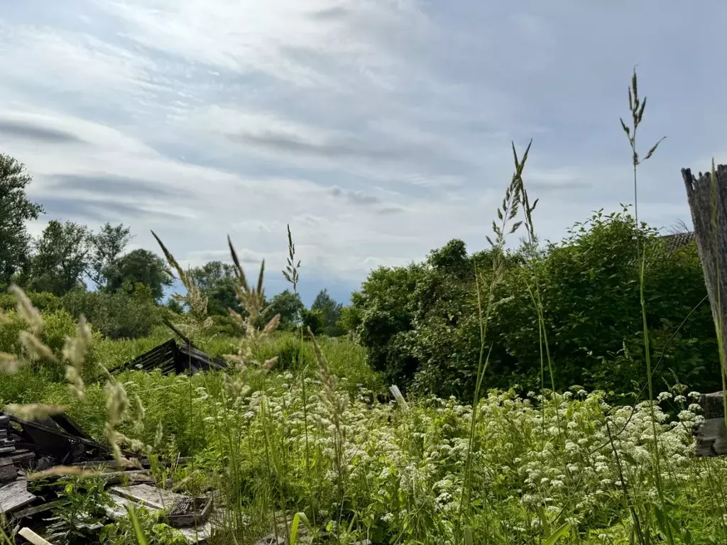 Участок в Новгородская область, Старая Русса ул. Санкт-Петербургская, ... - Фото 1