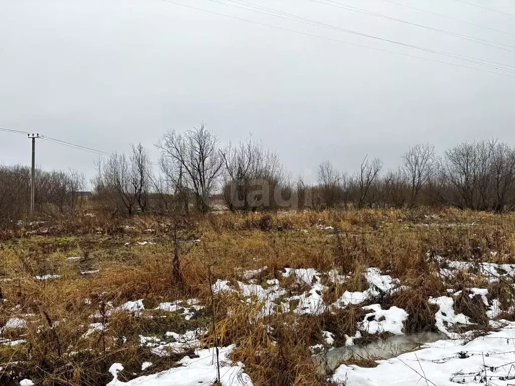Участок в Архангельская область, Архангельск Малое Никольское ТСН,  ... - Фото 2