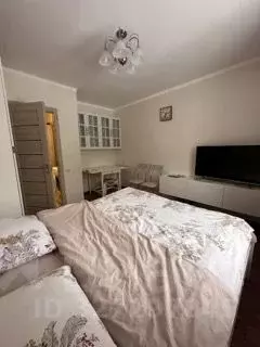 Студия Московская область, Раменский муниципальный округ, пос. Спартак ... - Фото 1