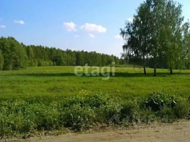 Участок в Курганская область, Курган с. Зайково, Школьная ул. (27.0 ... - Фото 1