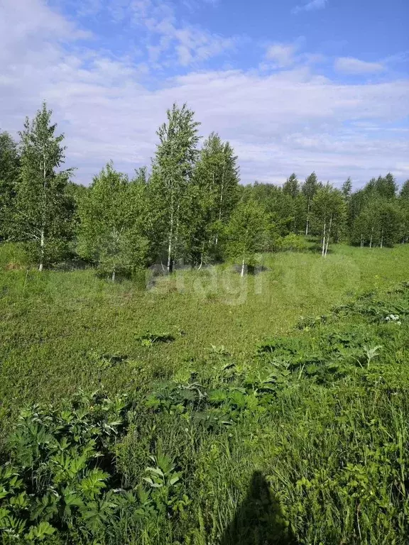 Участок 9,5 сот. (СНТ, ДНП) - Фото 1