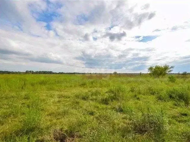 Участок в Воронежская область, Рамонский район, Березовское с/пос, д. ... - Фото 2