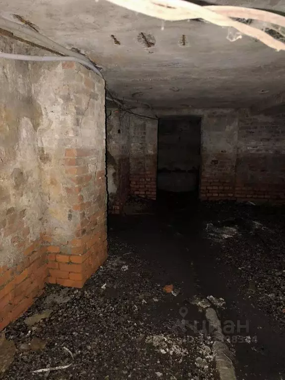 Помещение свободного назначения в Карелия, Петрозаводск просп. Ленина, ... - Фото 1