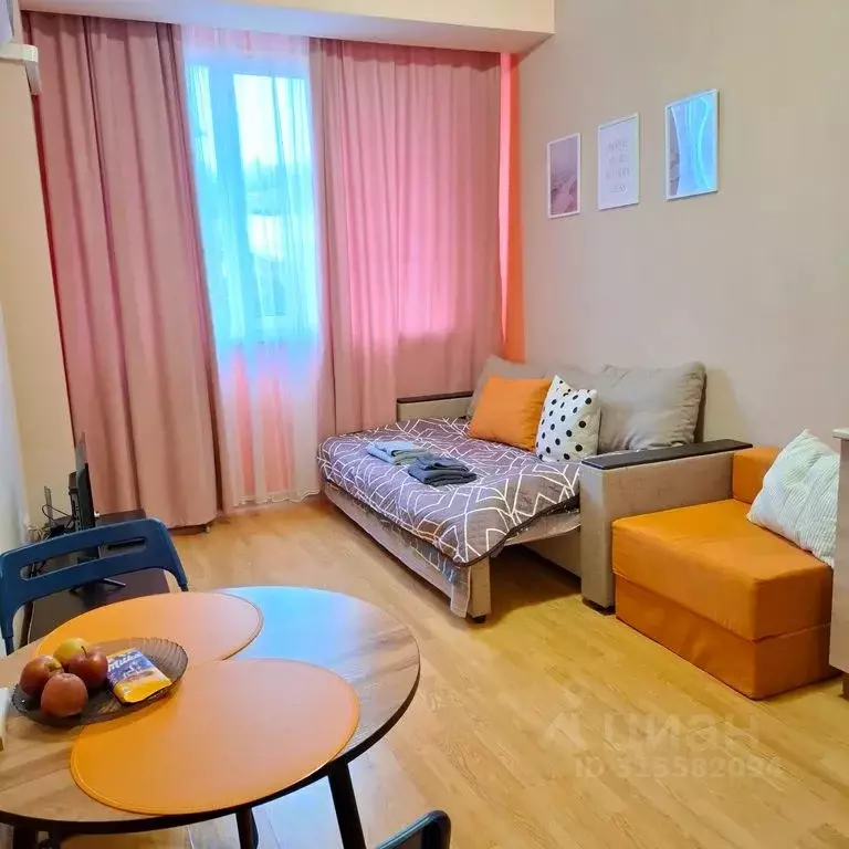 Студия Краснодарский край, Сочи Виноградная ул., 224/11 (25.0 м) - Фото 0