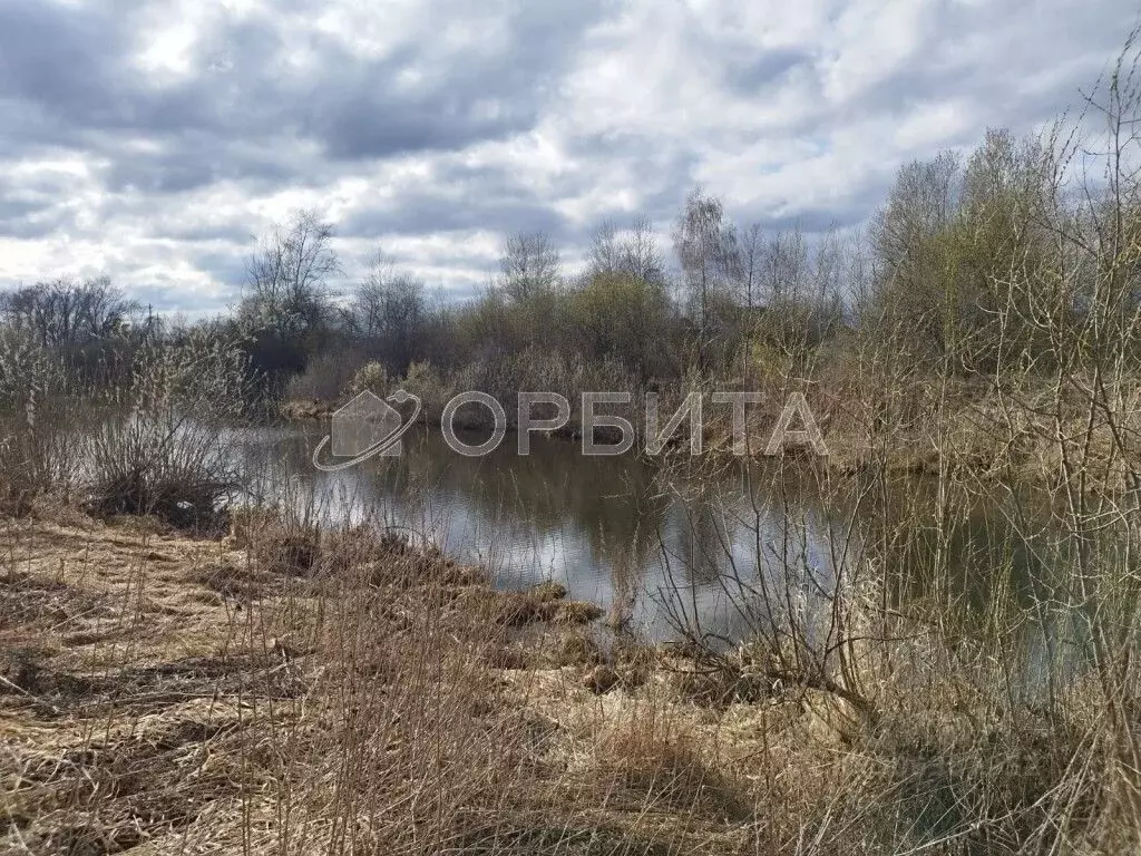 участок в тюменская область, тюменский район, д. молчанова (13.0 . - Фото 0