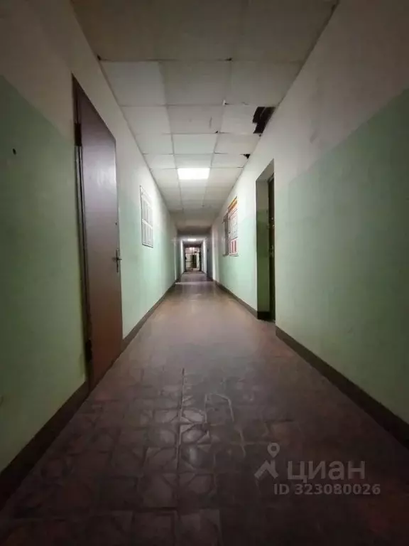 Помещение свободного назначения в Москва ш. Энтузиастов, 2С41 (48 м) - Фото 1