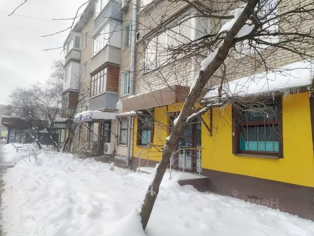 Помещение свободного назначения в Московская область, Балашиха ул. ... - Фото 2