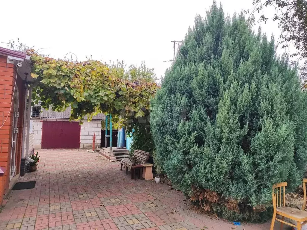 Дом в Белгородская область, Алексеевка Колхозная ул., 18 (87 м) - Фото 1