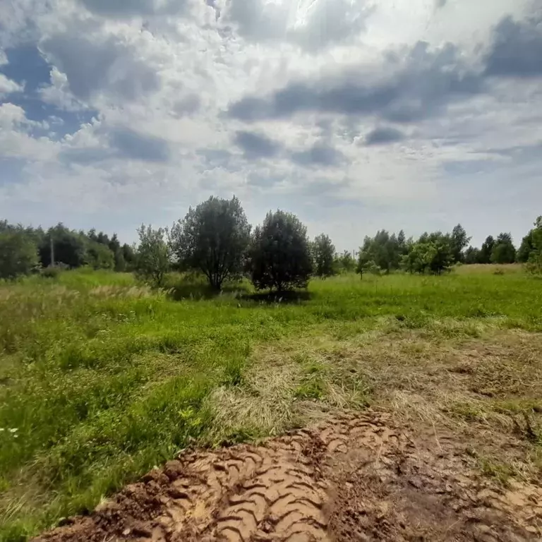 Участок в Тульская область, Тула ул. Дивная (13.0 сот.) - Фото 1