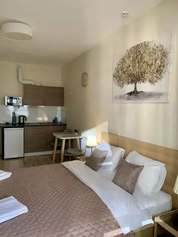 Студия Санкт-Петербург Пулковское ш., 14Е (26.0 м) - Фото 1