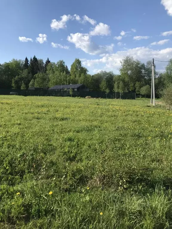 Участок в Московская область, Солнечногорск городской округ, Каравай ... - Фото 0