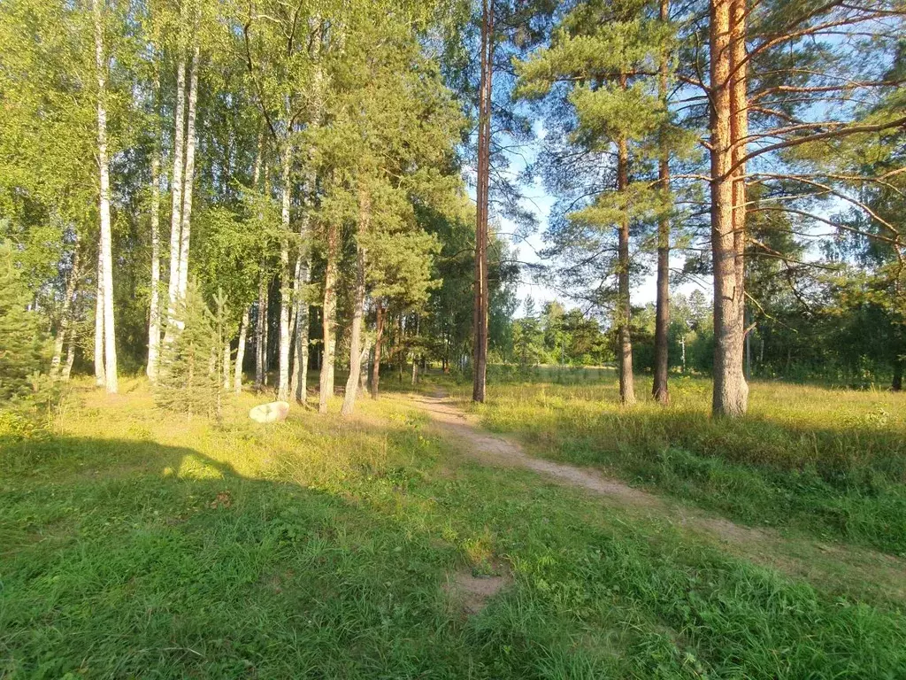 Дом в Ленинградская область, Гатчинский район, Вырица пгт Октябрьская ... - Фото 0