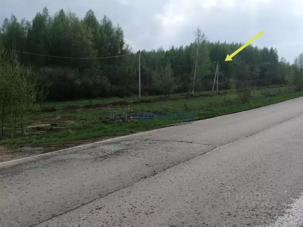 Участок в Нижегородская область, Богородский муниципальный округ, д. ... - Фото 0