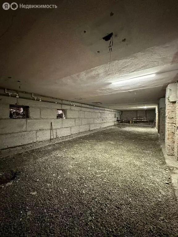 Помещение свободного назначения (249 м) - Фото 2