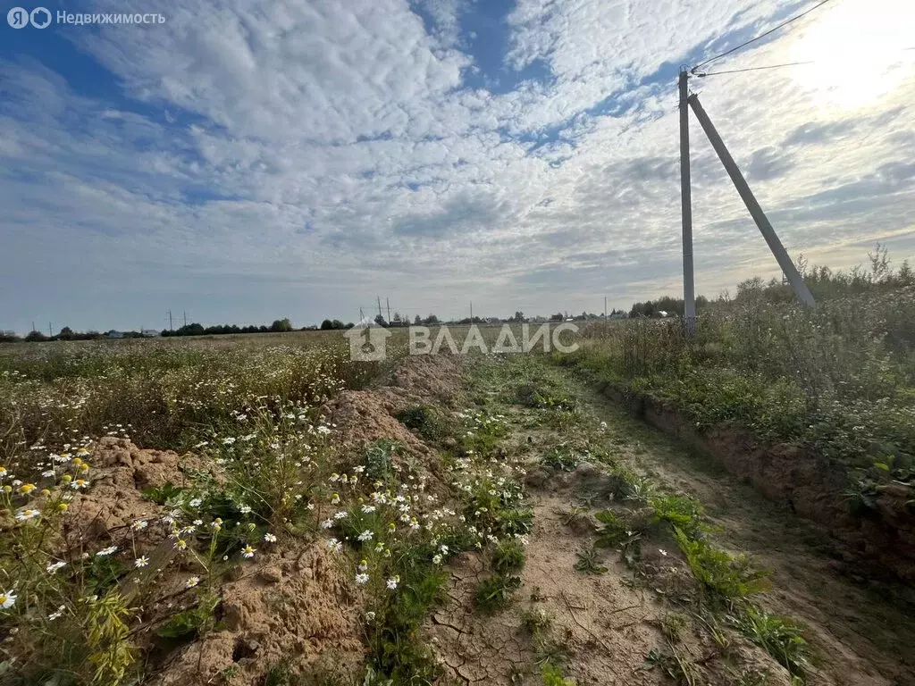 участок в вологодский муниципальный округ, деревня подберевское (17.68 . - Фото 0