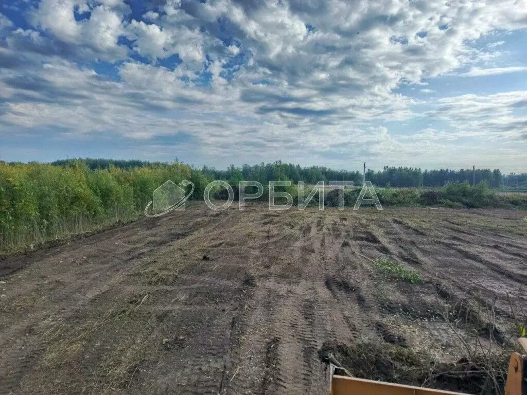 Участок в Тюменская область, Тюменский район, с. Горьковка Сибирская ... - Фото 1