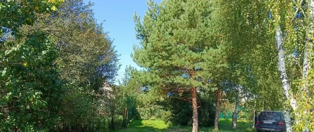 Участок в Московская область, Дмитровский муниципальный округ, с. ... - Фото 1
