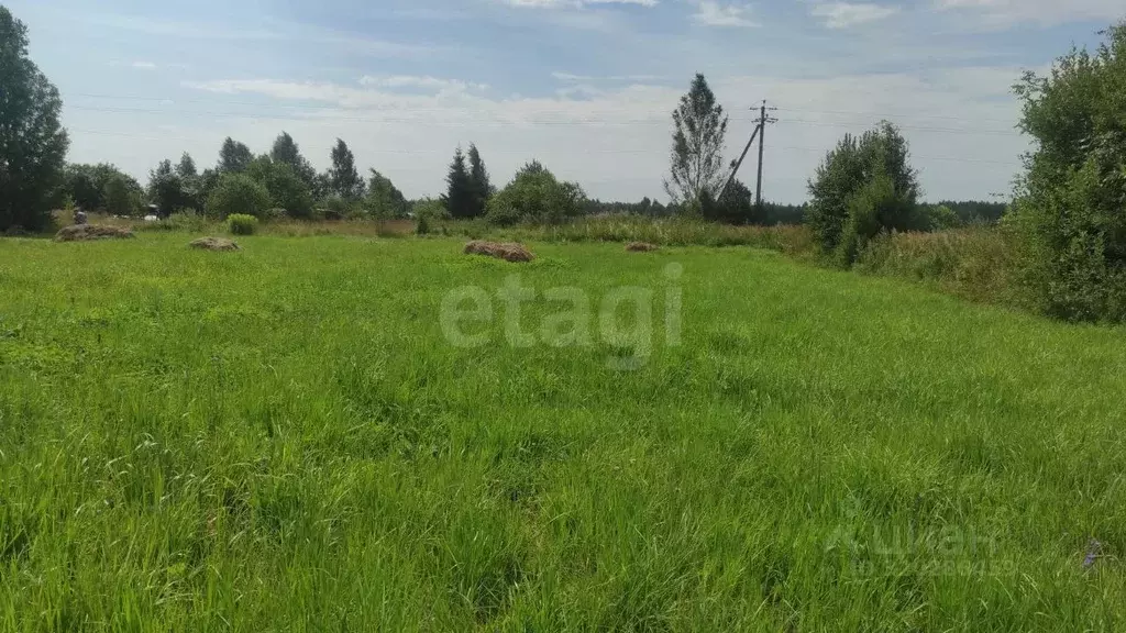 Участок в Ярославская область, Ярославский муниципальный округ, ... - Фото 2